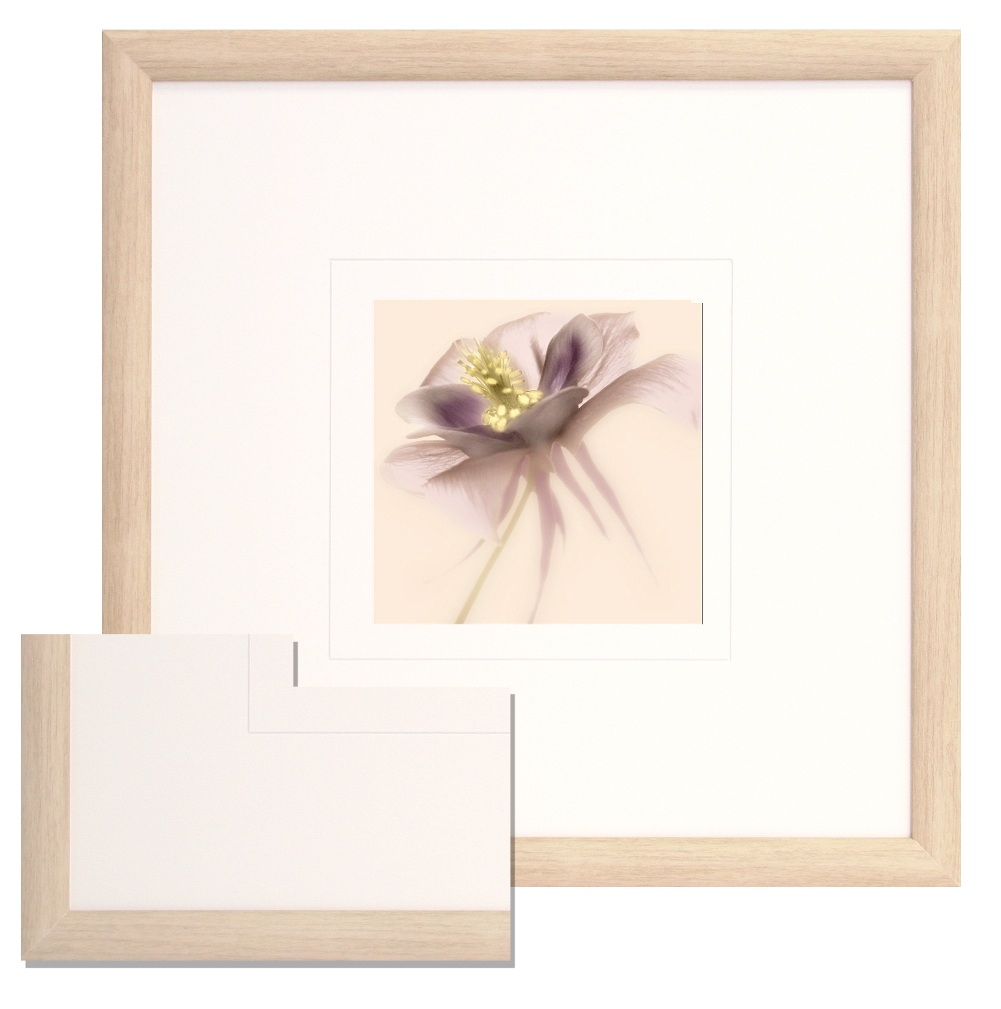 FP175 Wall décor art framed print floral light wood frame
